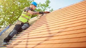 Best Roof Moss and Algae Removal  in East Wenatchee, WA